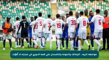 مواجهة نارية.. الزمالك والجونة يتنافسان على قمة الدوري في مباراة لا تُفوّت